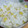 みやっち_0822's cooksnap of when they made とうもろこしご飯.