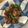 riry12's cooksnap of when they made 豚こまとピーマンのしょうが焼き.