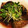 クックEFOSUV☆'s cooksnap of when they made 那須の煮浸し☆常備手作り麺つゆで簡単.