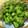 はなはながっぱ's cooksnap of when they made 万願寺とうがらしのゆかり炒め.