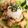 クックDJ8SC6☆'s cooksnap of when they made 香り良い〜♡大葉入り唐揚げ♪.