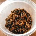 みぃぃちゃま's cooksnap of when they made 中身まで美味！だしがらを使ったふりかけ.