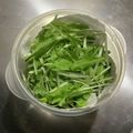 四児のハハ's cooksnap of when they made シャキッと！水菜の保存方法.