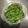 四児のハハ's cooksnap of when they made シャキッと！水菜の保存方法.