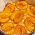 honobo〜no's cooksnap of when they made アンズのアーモンドケーキ.