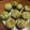 ☆suzu's cooksnap of when they made 絶対旨い！抹茶ホワイトチョコマフィン.