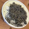 kaorulove's cooksnap of when they made 黒ごまアイス2種.