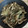 ヴィーナスけい's cooksnap of when they made ほりにしで簡単★舞茸チーズ.