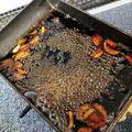 だらだらりん's cooksnap of when they made 俺男飯メガステーキ激ウマ簡単本格ソース！.