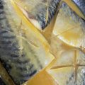 じゅじゅこ，'s cooksnap of when they made 塩さば味噌煮失敗なし.