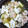 とみぃ11's cooksnap of when they made 簡単!【エビとエリンギのアヒージョ】.