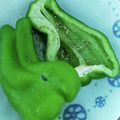 マンダリ's cooksnap of when they made ピーマンの氷浸け.