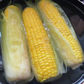 クックmichi☆♪'s cooksnap of when they made 【塩無し】基本のとうもろこしの茹で方.