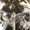 フジぽん's cooksnap of when they made 出汁こぶ活用ご飯.