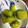 ちゃぎー's cooksnap of when they made 砂糖が無くても甘い　かぼちゃの煮付け.