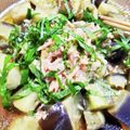 かもしれない森's cooksnap of when they made ナスとツナ缶で超美味しいソーメン.