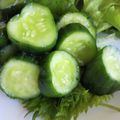 おかずさん88's cooksnap of when they made やみつききゅうりの辛子漬け（漬物）.