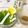 ナピト's cooksnap of when they made 簡単水菜と長芋のサラダ.