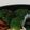 G_Yossan's cooksnap of when they made 海苔の佃煮と柚子胡椒でブロッコリーサラダ.