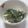 yamita's cooksnap of when they made わかめ炒め☆マヨネーズぽん酢.