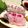 ぴ〜すけ✿'s cooksnap of when they made 桜鯛の炙り昆布締め.