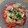 ぱたぱたこ's cooksnap of when they made トマトとガリの前菜.