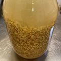 ピーナッツ子♪'s cooksnap of when they made 玄米麹　de　塩麹作り.