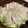 マールマル's cooksnap of when they made 簡単タジン鍋～豚肉と野菜蒸し.