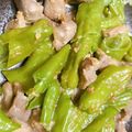 マロンパパ☆'s cooksnap of when they made 塩麹で簡単おつまみ 砂肝ピーマン炒め.