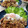 ｸﾏﾘｴ's cooksnap of when they made 簡単！ひき肉と蓮根ののっけ丼.