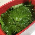 papikun's cooksnap of when they made 大葉 しそのナムル漬け.
