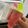 クック9P6O5D☆'s cooksnap of when they made 余ったスイカの活用方法♪すいかアイスバ−.