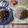violets's cooksnap of when they made プチトマトのチーズ焼き.