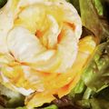 桜空星's cooksnap of when they made ✿卵１コでちょっと可愛いお花✿.