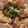クックGUG4I2☆'s cooksnap of when they made 鶏の甘辛丼.