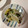 ♡greentea♡'s cooksnap of when they made 夏の常備菜。ゴーヤの焼き浸し。.