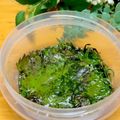 ルパンのかあさん☆彡's cooksnap of when they made 大葉 しそのナムル漬け.