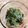 M♡KITCHIN's cooksnap of when they made きゅうり春雨わかめの酢の物.