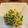 cocot0914's cooksnap of when they made 冷んやり！キュウリと茗荷の酢の物♡.