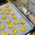 のんちゃんだょ's cooksnap of when they made 人も食べられる☆犬用かぼちゃクッキー.