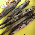海ちゃん大好き♡'s cooksnap of when they made コツ：子持ちししゃもはフライパン.