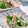 ウサガミソーレー♪'s cooksnap of when they made めんつゆで簡単♪オクラとえのきのお浸し.