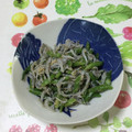 おはなすき's cooksnap of when they made 三度豆としらすの胡麻和え.