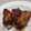 クックWY5F13☆'s cooksnap of when they made ヨシダソースで簡単スペアリブ.