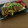 Etsu☆ko's cooksnap of when they made さわらのムニエル☆キノコあんかけ.