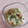 アクセル☆'s cooksnap of when they made 和えるだけ！なめたけときゅうりのサラダ.