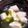 ビビ♡'s cooksnap of when they made お吸い物.