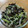 けんぷふぁー's cooksnap of when they made きくらげともやしのあっさりナムル.