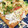 ブランシュkuu's cooksnap of when they made 簡単☆厚揚げ焼きのシラス乗せ☆.