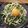 ☆hikonyan☆'s cooksnap of when they made 冷たいうどん！釜卵しらす醤油マヨネーズ.